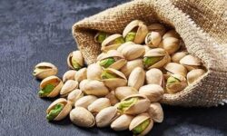 ممنوعیت صادرات پسته ایران به اروپا از ۲۸ آبان ماه