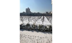 مدیریت بحران؛ از کشاورزی تا دامپروری در آستان قدس رضوی