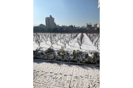 مدیریت بحران؛ از کشاورزی تا دامپروری در آستان قدس رضوی