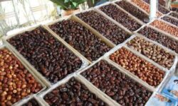 وزیر جهاد کشاورزی: صادرات خرما باید توسعه یابد
