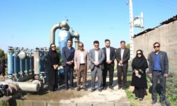 مهارتآموزی در زندان جیرفت؛ کشاورزی نوین، پلی به سوی اشتغال پایدار