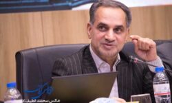 بازرس کل استان: مجمع نمایندگان پرداخت سهم کرمان از عوارض معدنی را پیگیری کند