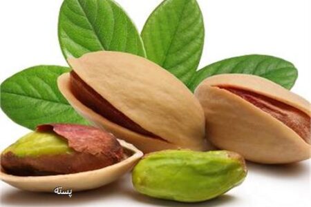 ۹۵ تن پسته ایران به عربستان صادر شد