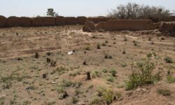 سازمان ملل اعلام کرد؛ هشدار دربارۀ خشکسالیهای مرگبار