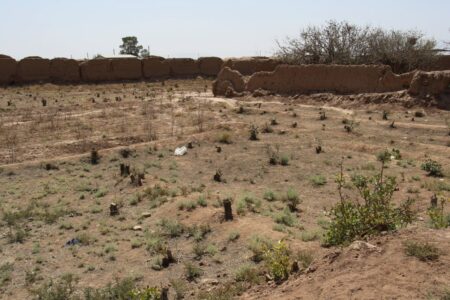 سازمان ملل اعلام کرد؛ هشدار دربارۀ خشکسالی‌های مرگبار