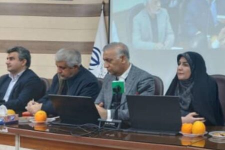 فرماندار جیرفت:  راه‌اندازی صنایع فرآوری اولویت توسعه معادن جیرفت